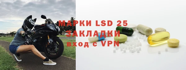 индика Надым
