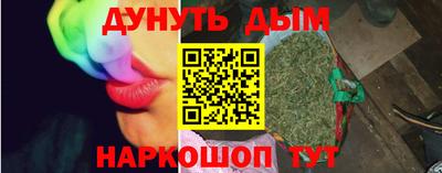сатива Гай