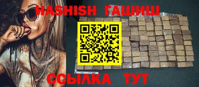 сатива Гай