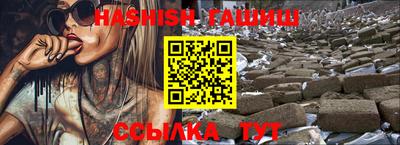 сатива Гай